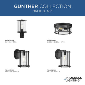 Gunther 1-Light Outdoor Post Light