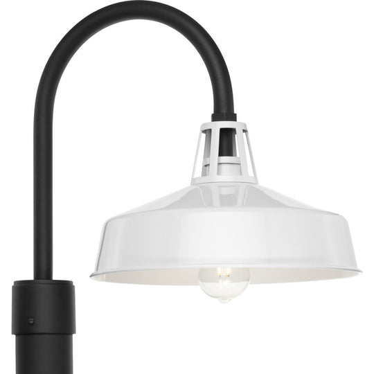 Cedar Springs 1-Light Outdoor Post Light