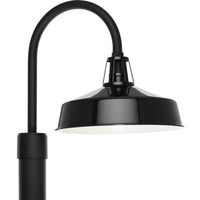 Cedar Springs 1-Light Outdoor Post Light