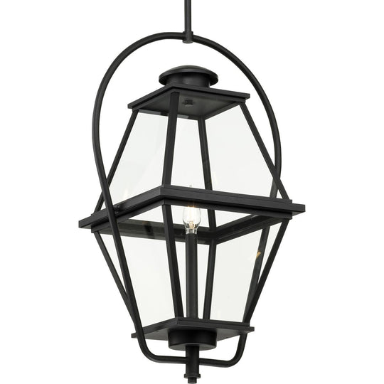 Bradshaw 1-Light Outdoor Pendant