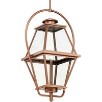 Bradshaw 1-Light Outdoor Pendant