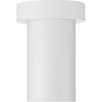 3" 1-Light Surface Mount Cylinder