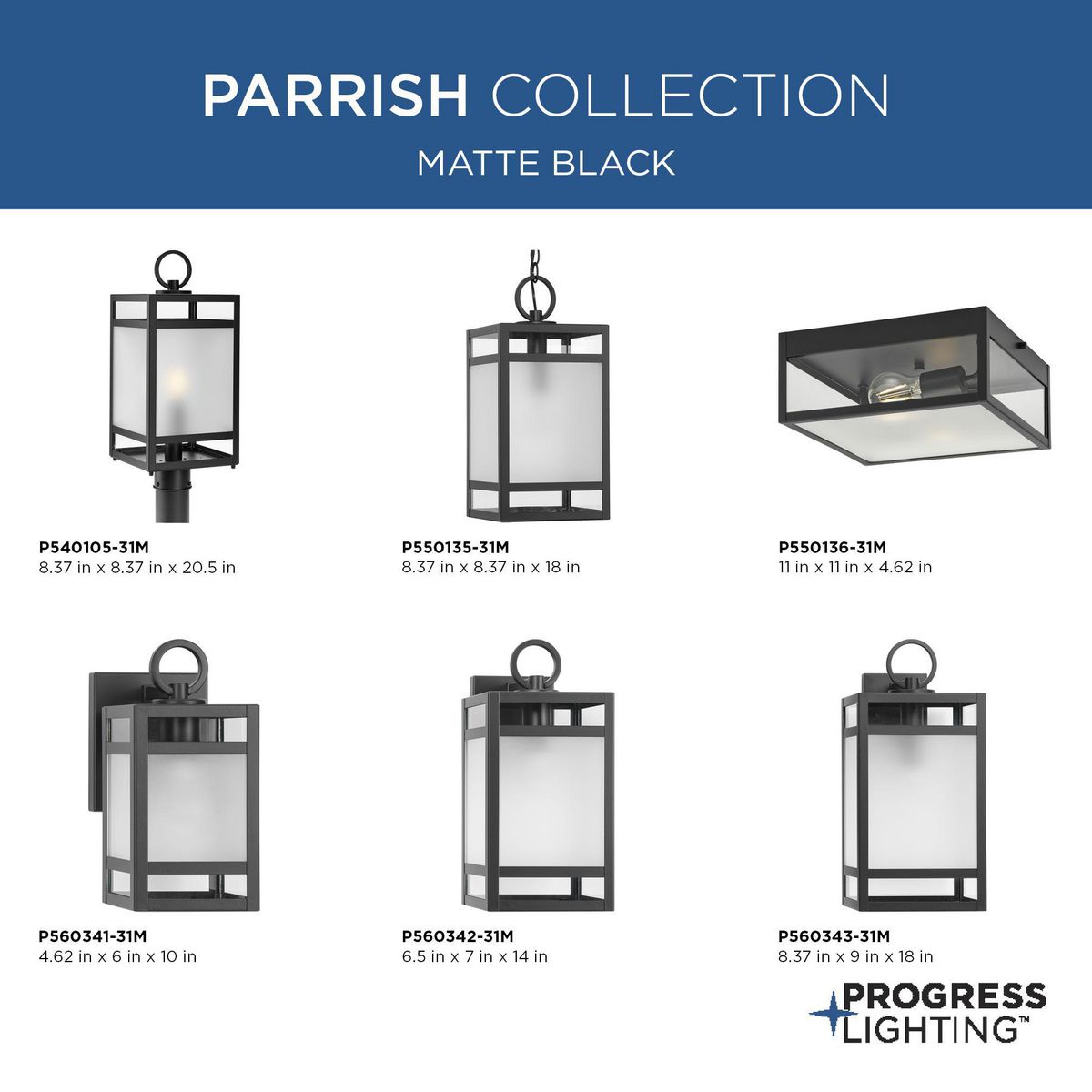Parrish 1-Light Outdoor Pendant