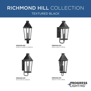 Richmond Hill 1-Light Outdoor Wall Light