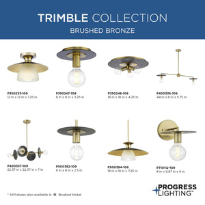 Trimble 1-Light Close-to-Ceiling