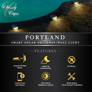 Portland Smart Solar Driveway/Wall Light