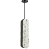 Pascal 1-Light Pendant