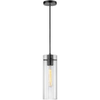 Patia 1-Light Pendant
