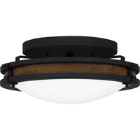 Alexa Flush Mount
