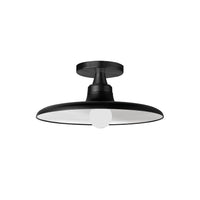 Quentin 1-Light Semi-Flush Mount