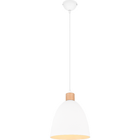 Jagger 1-Light Pendant
