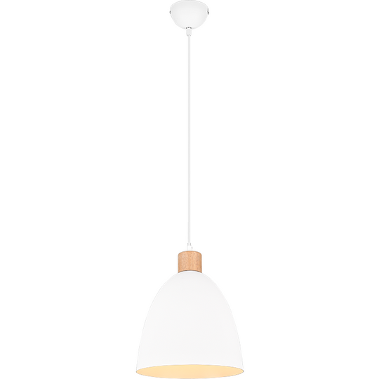 Jagger 1-Light Pendant