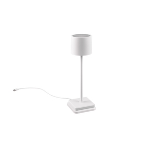 Fernandez LED Wireless Lamp