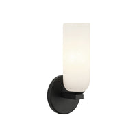 Jules 1-Light Wall Sconce