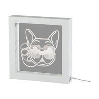 Cool Dog Video Light Box