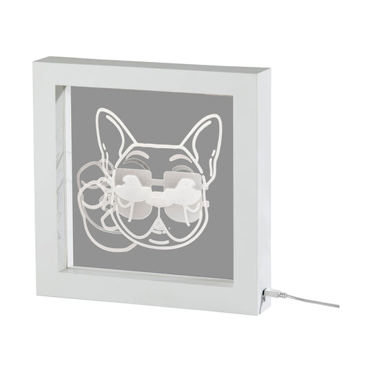 Cool Dog Video Light Box