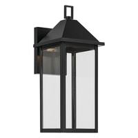 Prin 16.75" 1-Light Outdoor DarkSky Wall Light