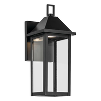 Prin 14" 1-Light Outdoor DarkSky Wall Light