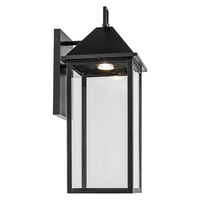Prin 22" 1-Light Outdoor DarkSky Wall Light