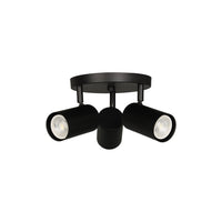 Taylor 3-Light Spot Light