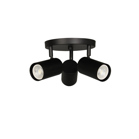 Taylor 3-Light Spot Light