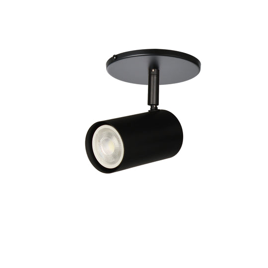 Taylor 1-Light Spot Light