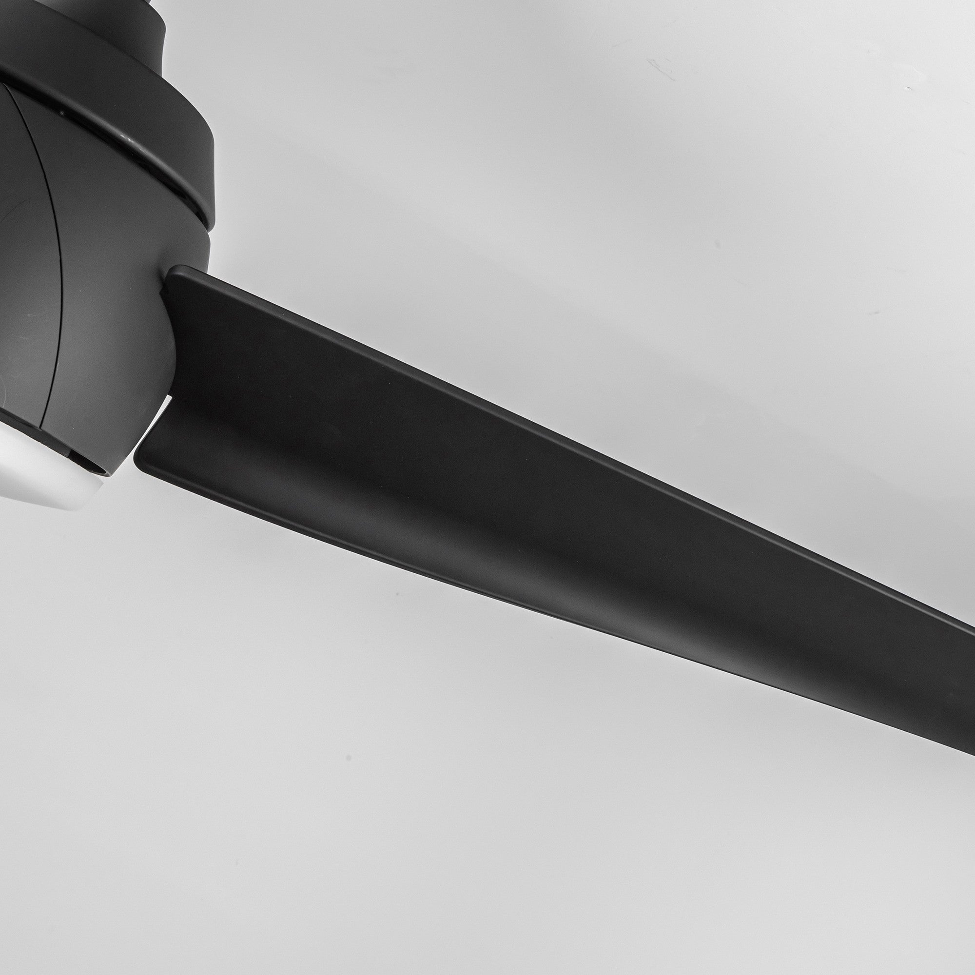 Thalia 54" Ceiling Fan