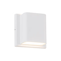 Tolan 4" LED All-terior Wall