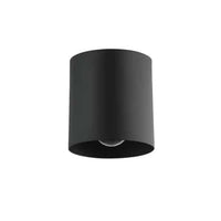 Theron 1-Light Flush Mount