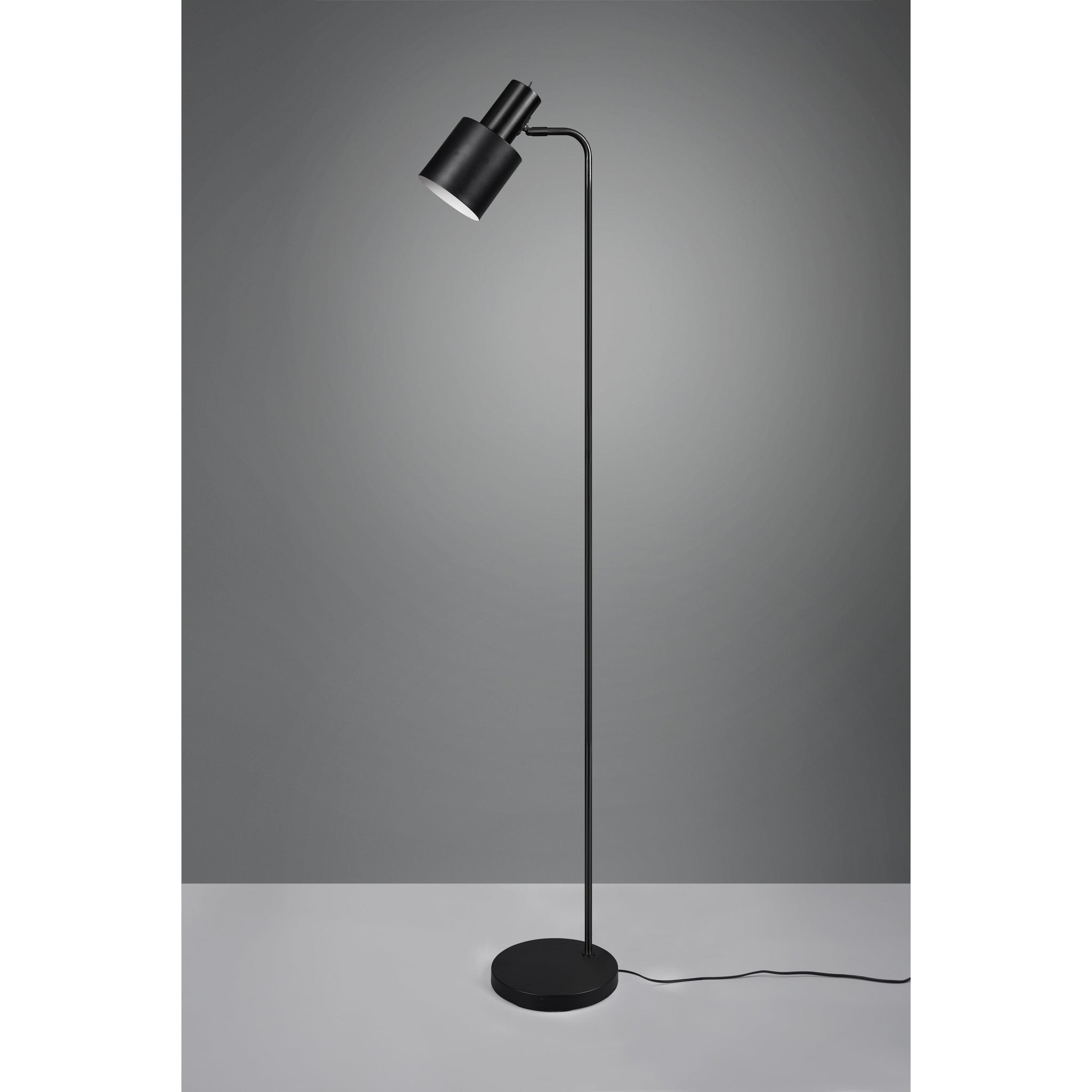 Adam 1-Light Floor Lamp