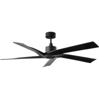 Aspen Coastal 56 Ceiling Fan