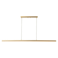 Vega 56" LED Linear Pendant