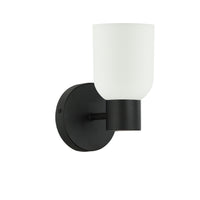 Vonda 1-Light Wall Sconce