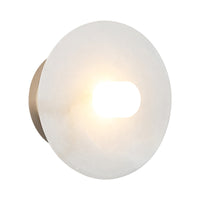 Monument 1-Light LED Wall Sconce/Ceiling Mount