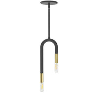 Wand 2-Light Pendant