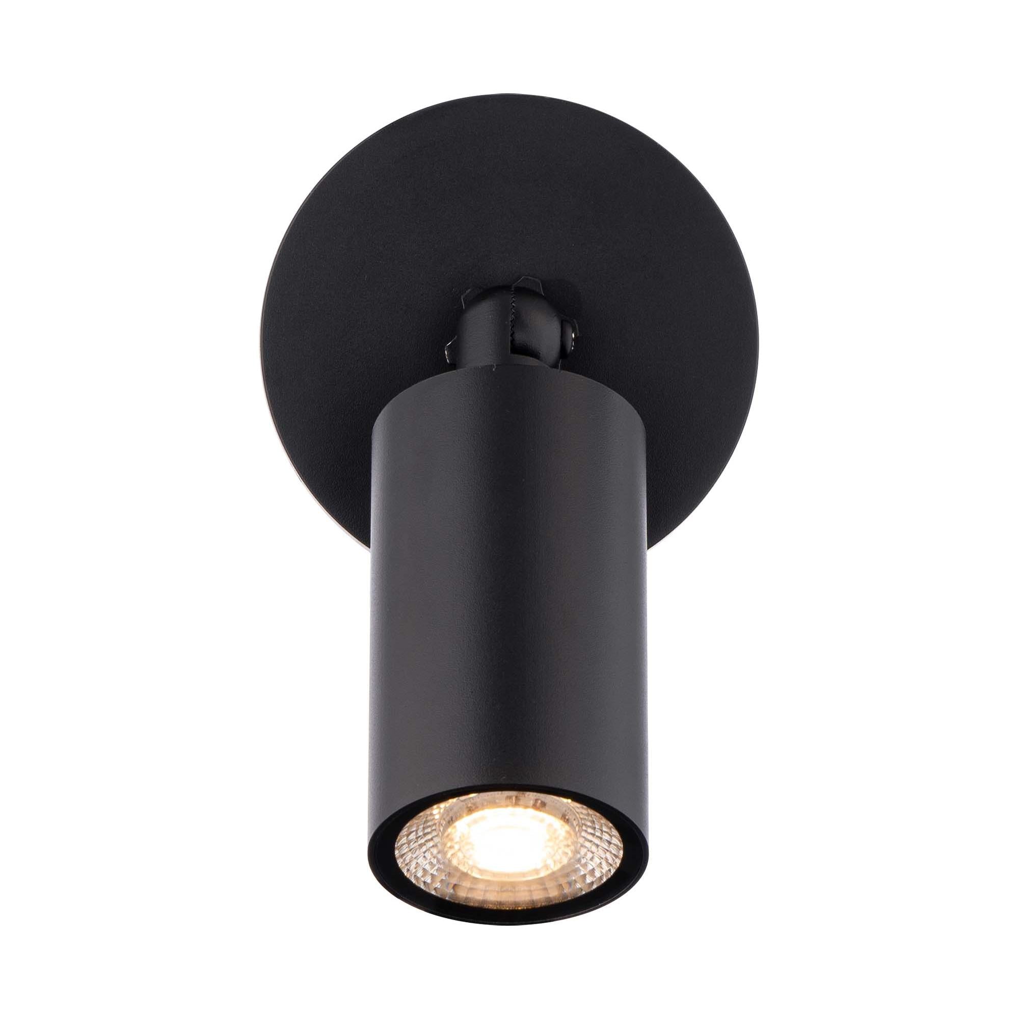 Cylinder LED Single Adjustable Indoor/Outdoor Wall Light