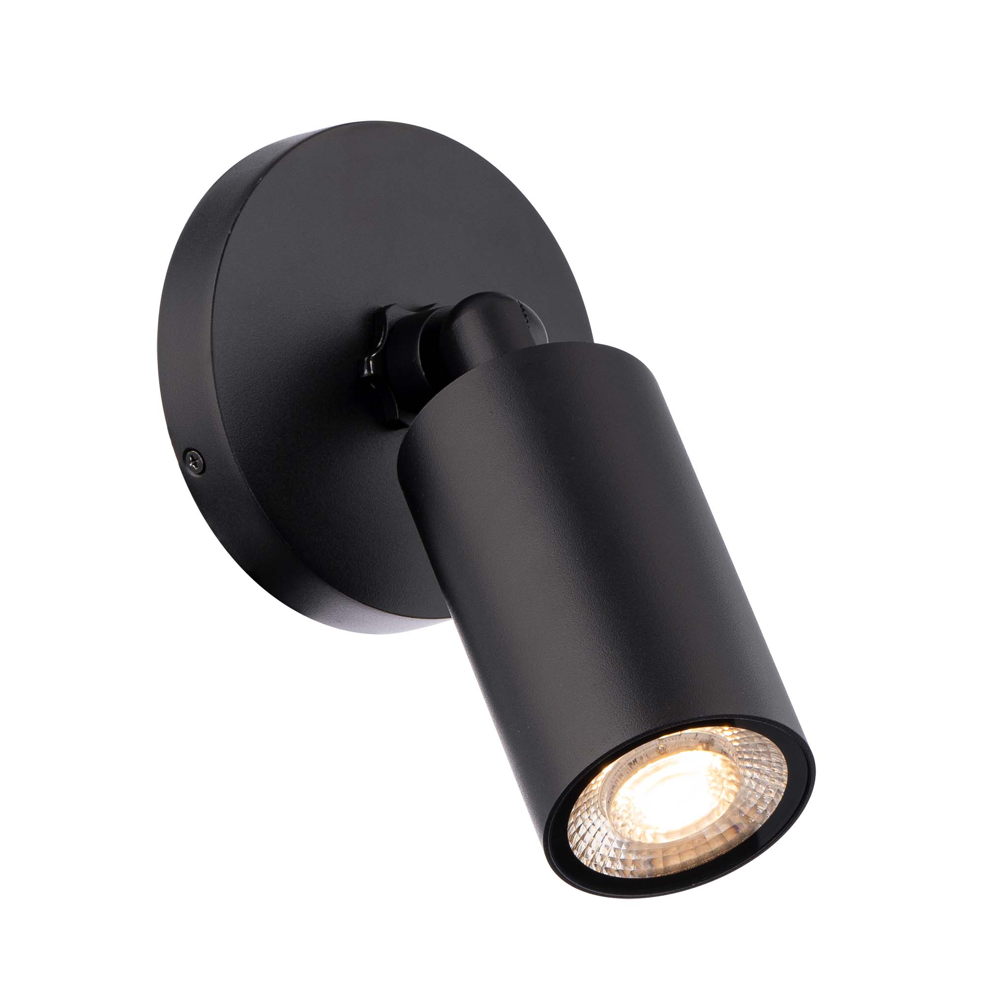 Cylinder LED Single Adjustable Indoor/Outdoor Wall Light