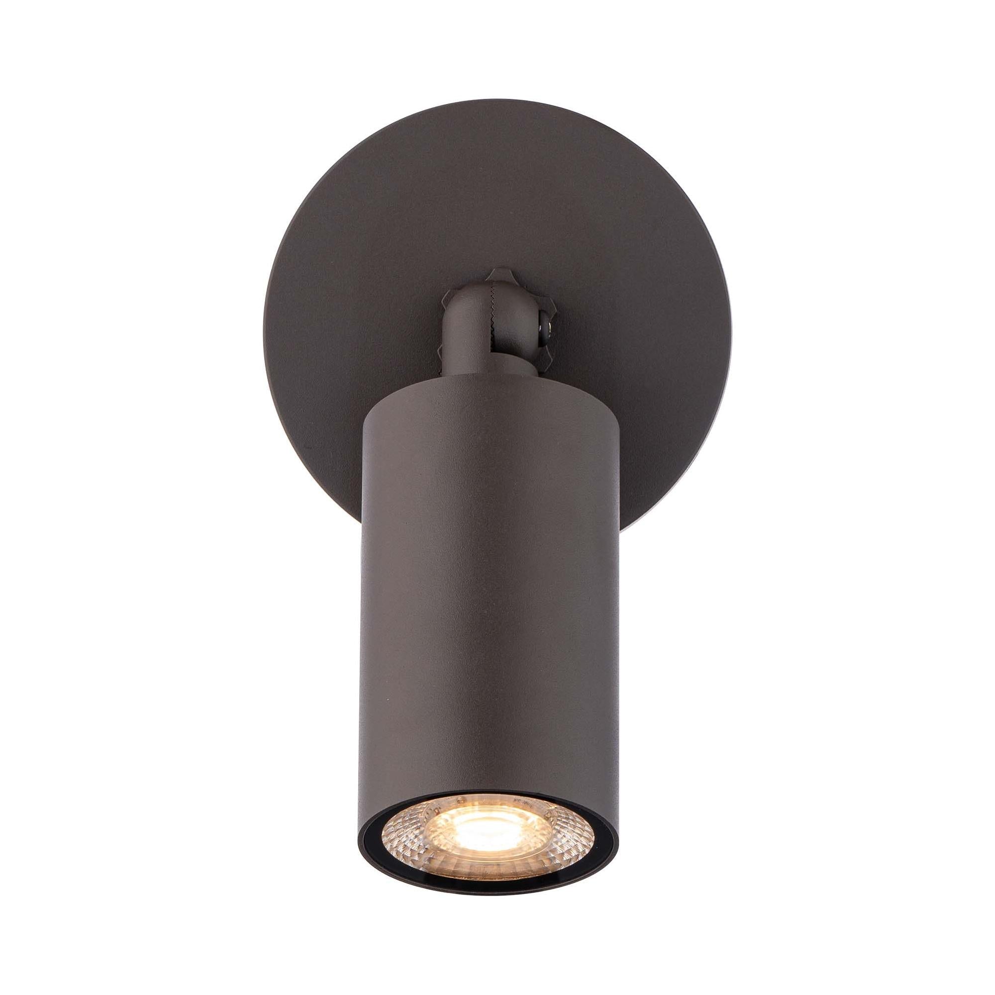 Cylinder LED Single Adjustable Indoor/Outdoor Wall Light