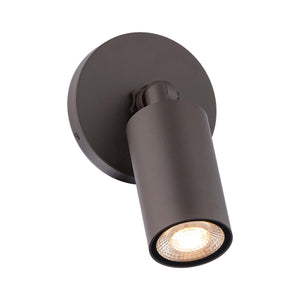 Cylinder LED Single Adjustable Indoor/Outdoor Wall Light