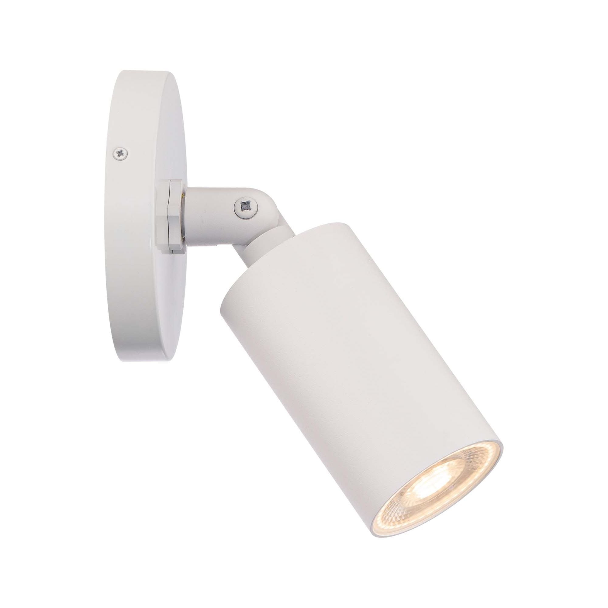 Cylinder LED Single Adjustable Indoor/Outdoor Wall Light