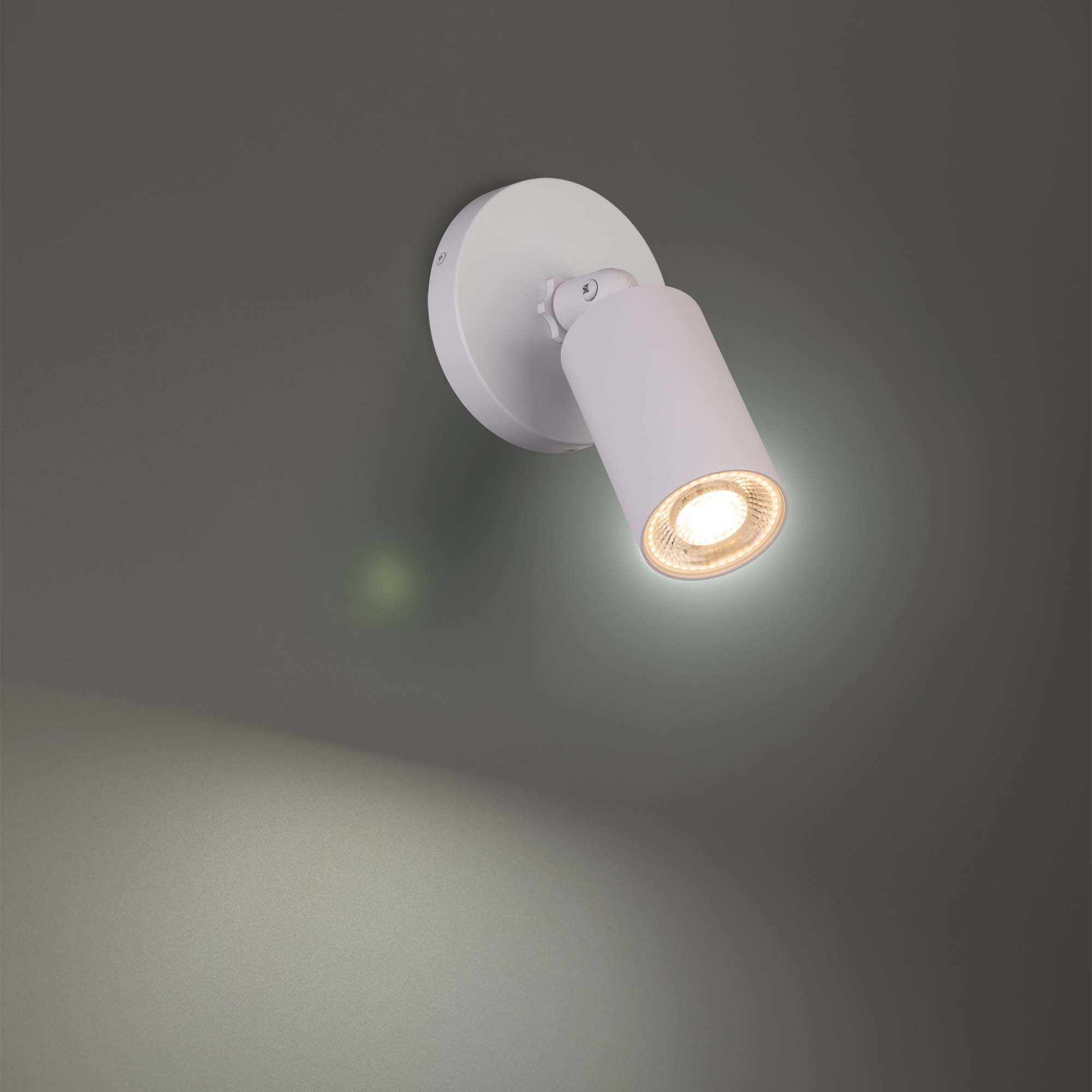 Cylinder LED Single Adjustable Indoor/Outdoor Wall Light