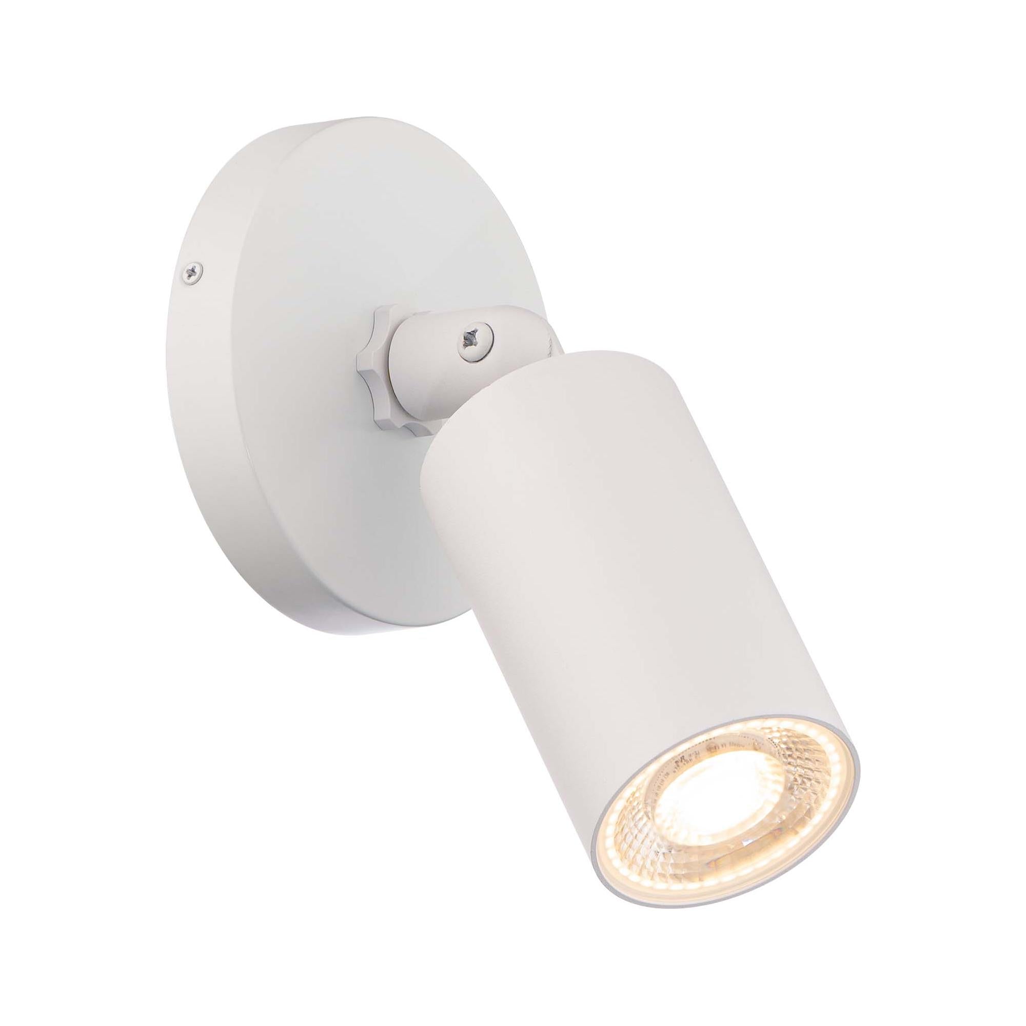 Cylinder LED Single Adjustable Indoor/Outdoor Wall Light