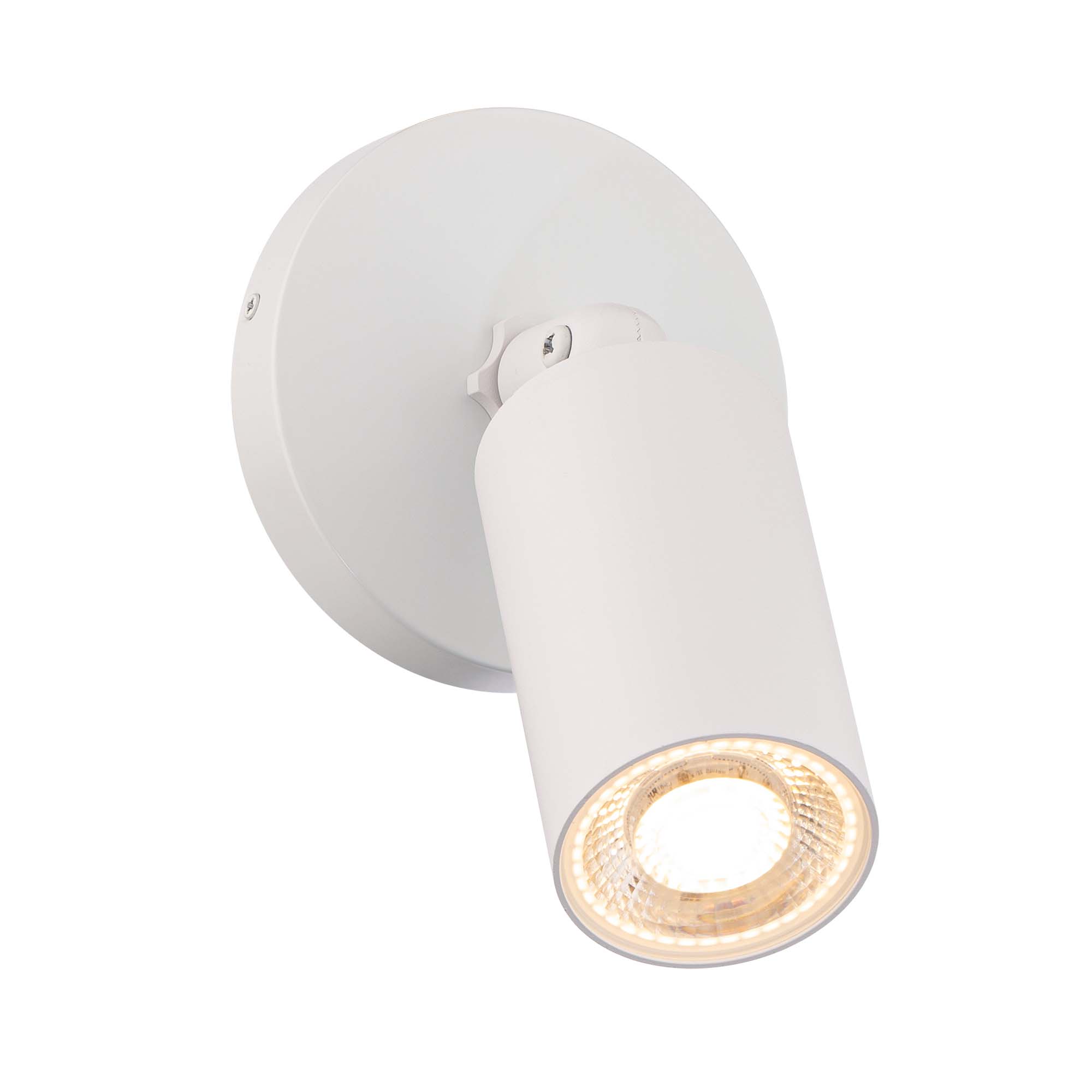 Cylinder LED Single Adjustable Indoor/Outdoor Wall Light