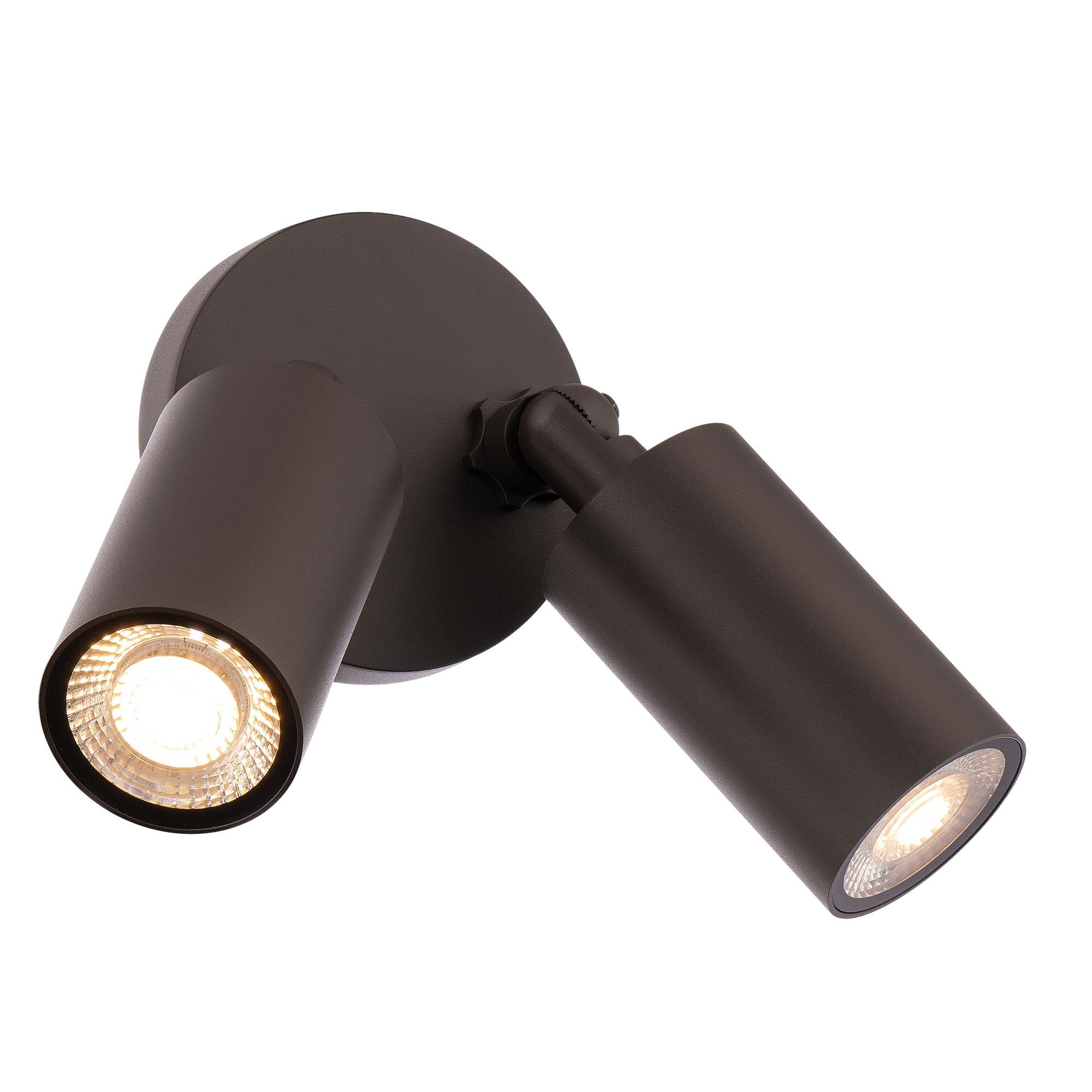 Cylinder LED Double Adjustable Indoor/Outdoor Wall Light