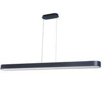 Walsh 60W Horizontal Pendant
