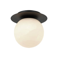 Nikini 1-Light Wall Sconce/Ceiling Mount