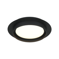 Iris 1-Light Ceiling Mount