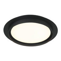 Iris 1-Light Ceiling Mount