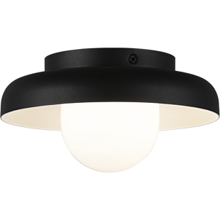 Creston 1-Light Ceiling Mount