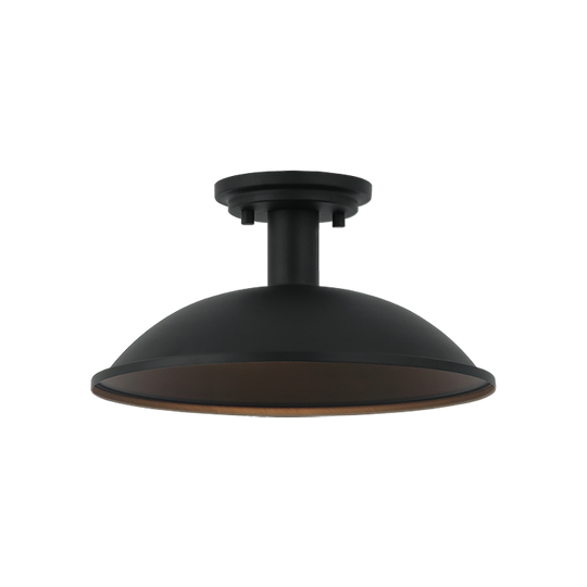Farmley 1-Light 12" Ceiling Mount